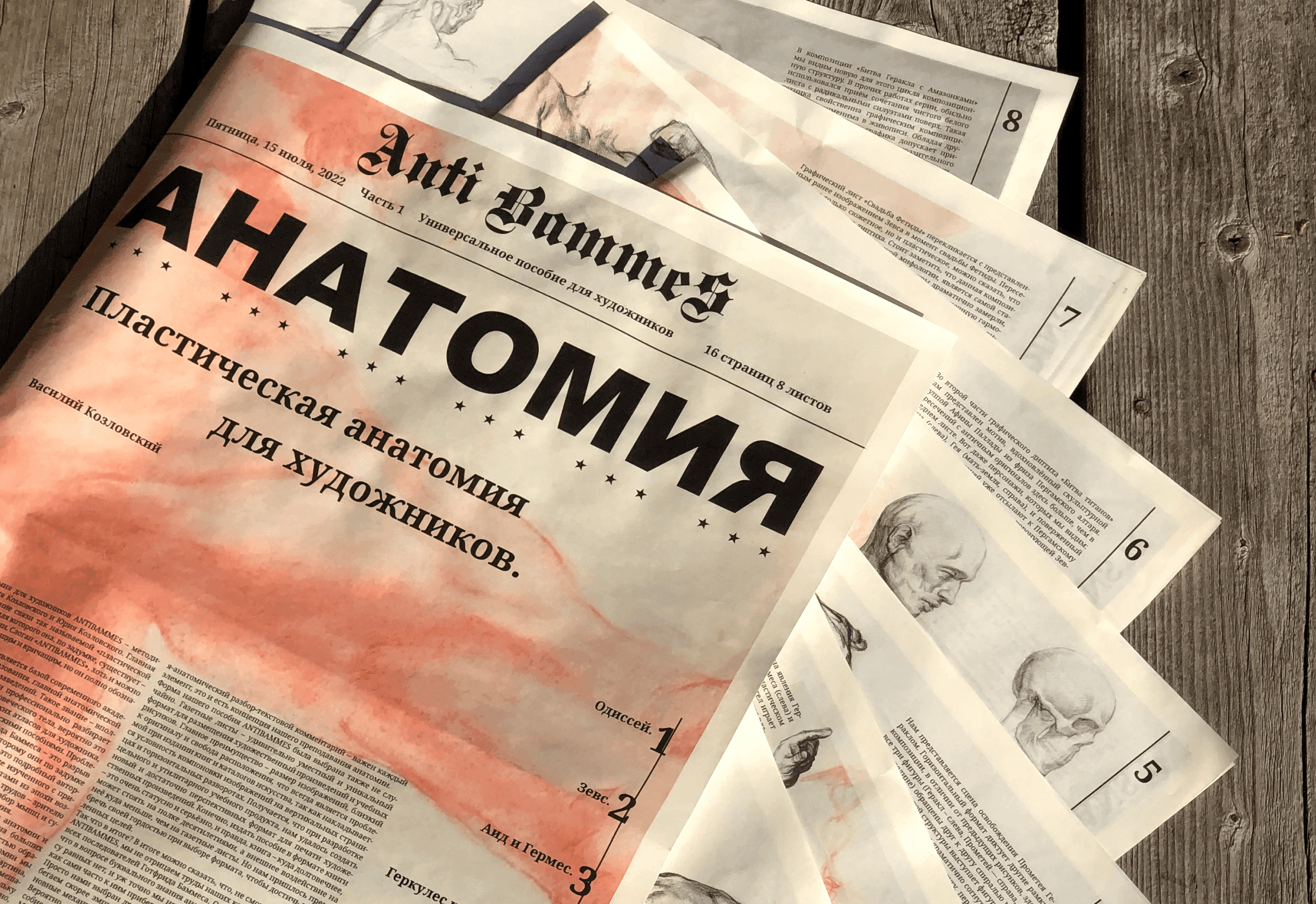 Постер проекта ANTIBAMMES / АНАТОМИЯ